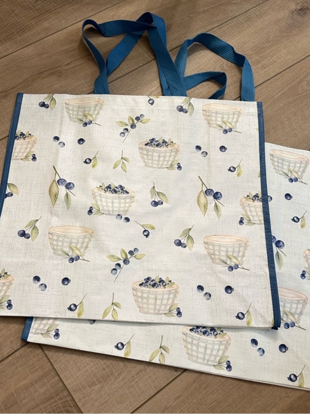 Homegoods TJMaxx Marshalls Viral Blueberry Print Shopper Tote Bags Set of 2 NWOT